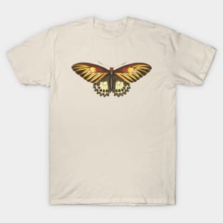 Brown butterfly T-Shirt